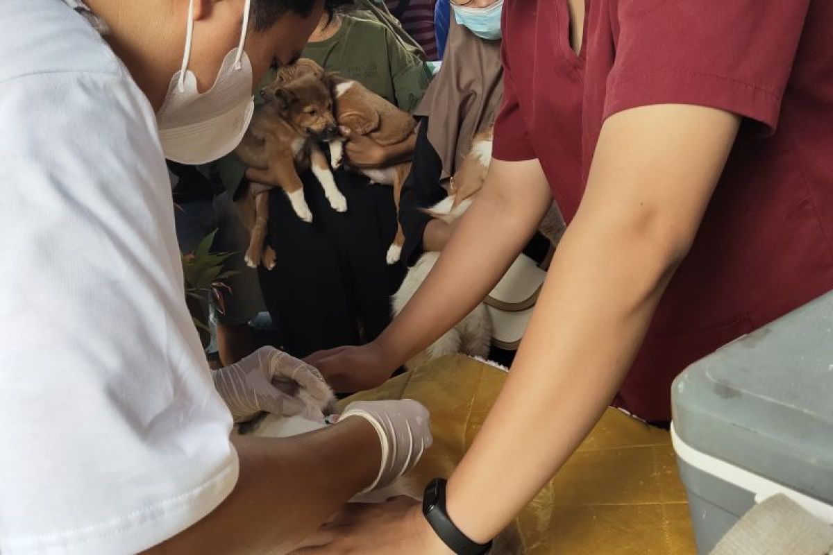 Pemkot Palangka Raya beri vaksinasi rabies gratis