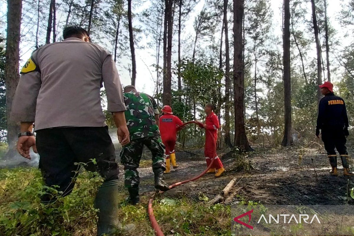 Damkar: Sejak September terjadi 36 kebakaran lahan di Kota Bengkulu