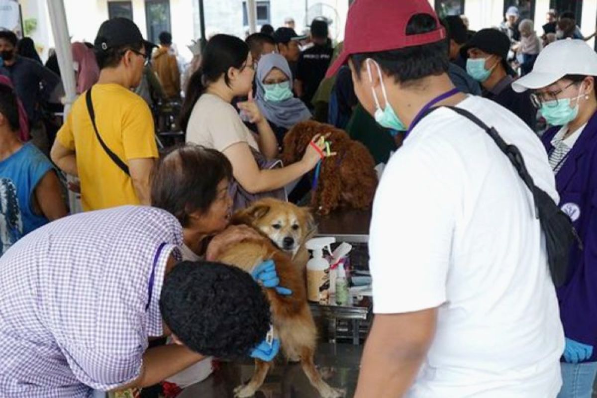 Pemkab Subang vaksinasi rabies ratusan hewan peliharaan gratis