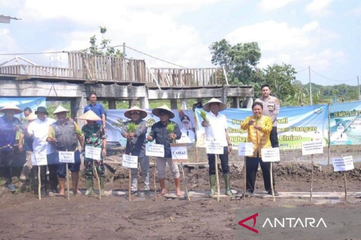 Pj Gubernur Bangka Belitung apresiasi inovasi petani Namang atasi kekeringan