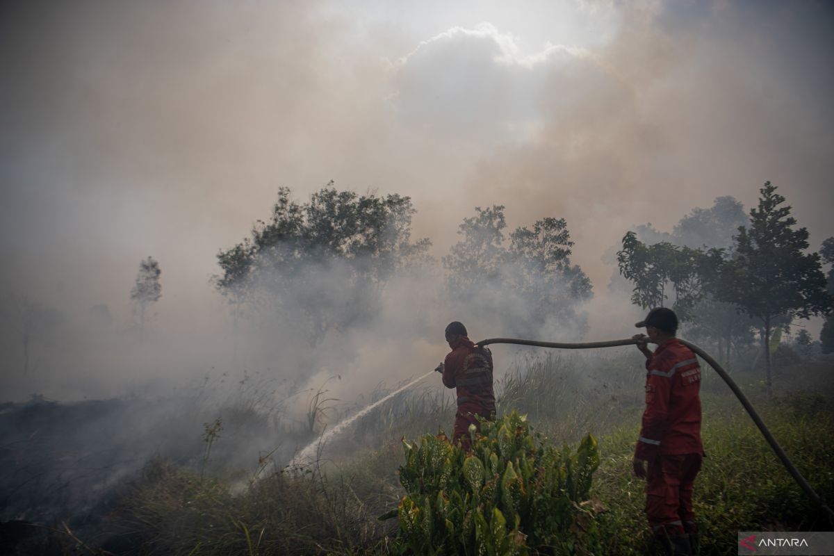 Mengatasi siklus empat tahun kebakaran hutan dan lahan gambut