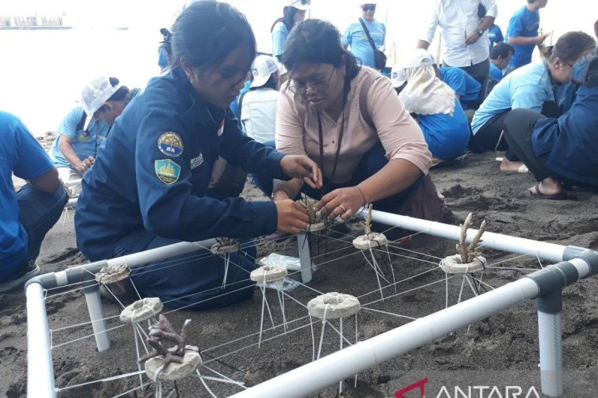 Menghidupkan kembali karang untuk rumah ikan