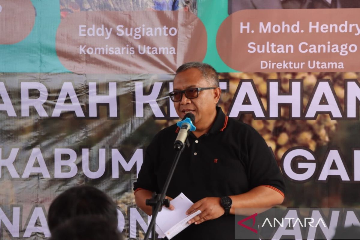Bupati Sukabumi: Peningkatan produksi sorgum untuk ketahanan pangan