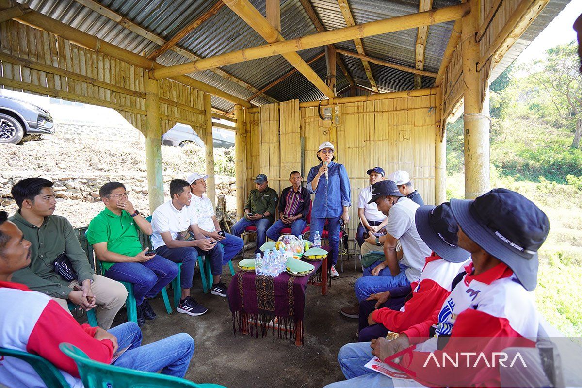 Petrokimia Gresik edukasi pemupukan berimbang bagi petani di Ende NTT