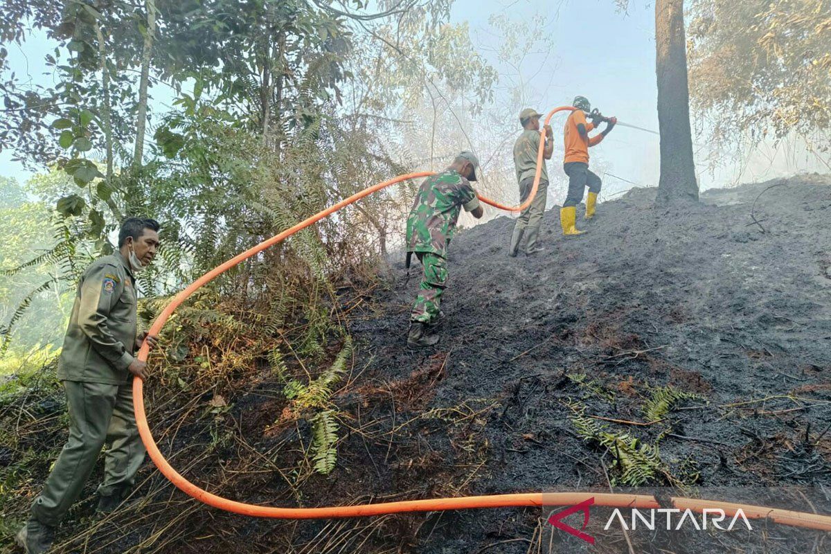 BMKG: Jumlah titik panas di Kaltim turun, jadi 317 titik