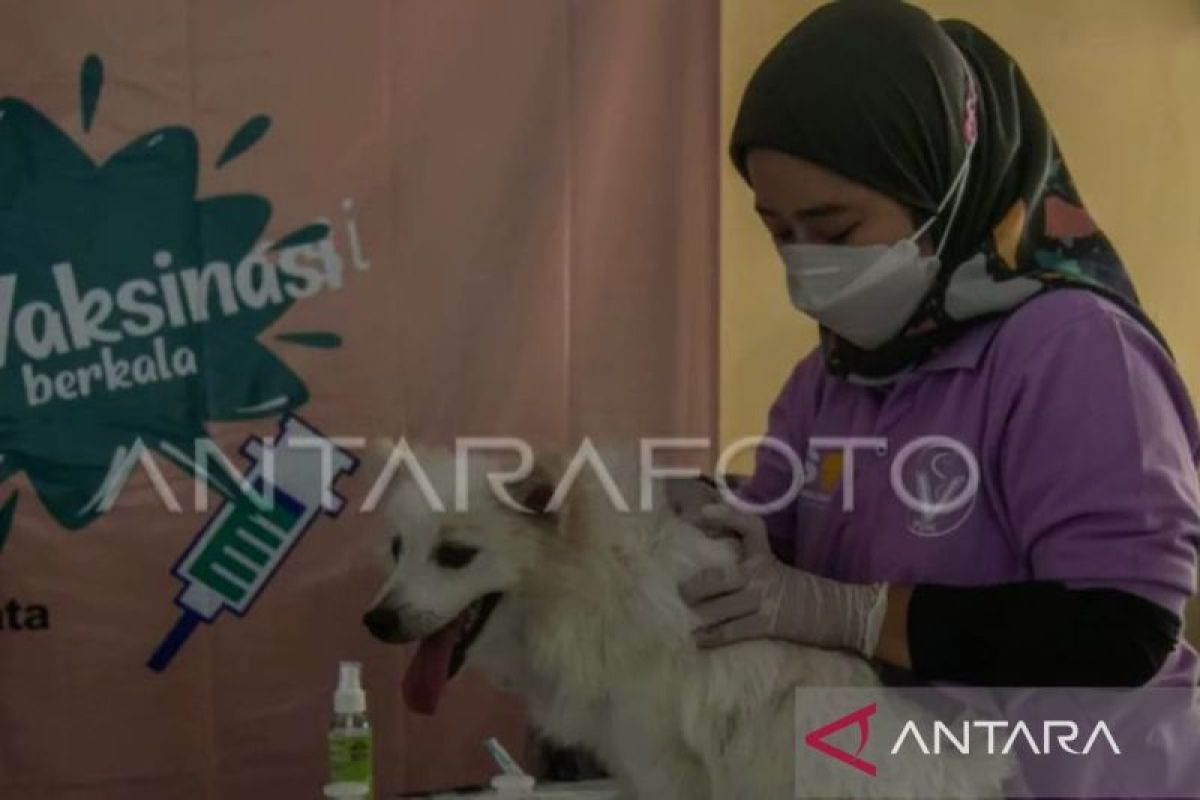 Dinkes Kaltim gencar vaksinasi hewan agar terbebas penyakit zoonosis