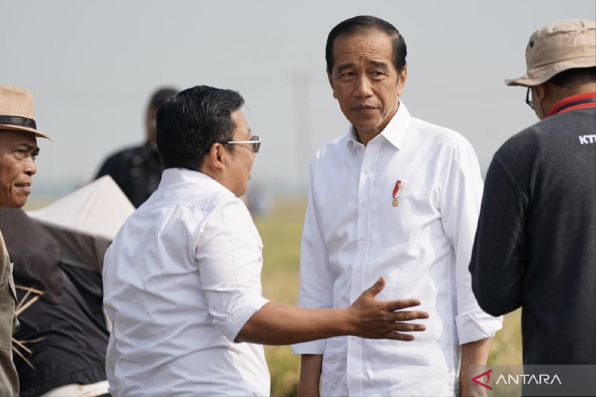 Presiden Jokowi diharapkan evaluasi izin PBS maupun HTI di Kalteng