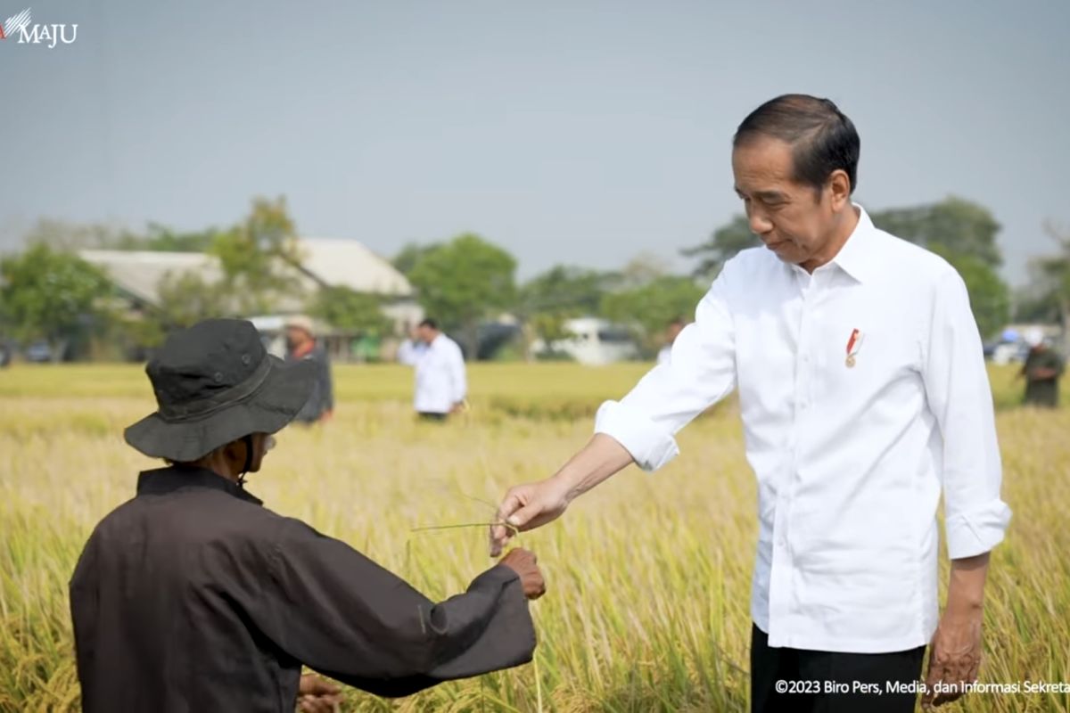 Presiden Jokowi perbanyak pasokan beras ke pasar guna tekan harga