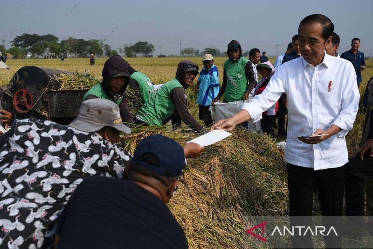 Presiden Jokowi: Panen raya di Jabar tambah cadangan beras nasional