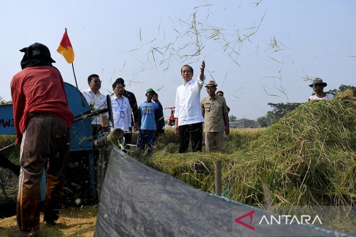 Presiden Jokowi: Perbanyak pasokan ke pasar agar harga beras turun