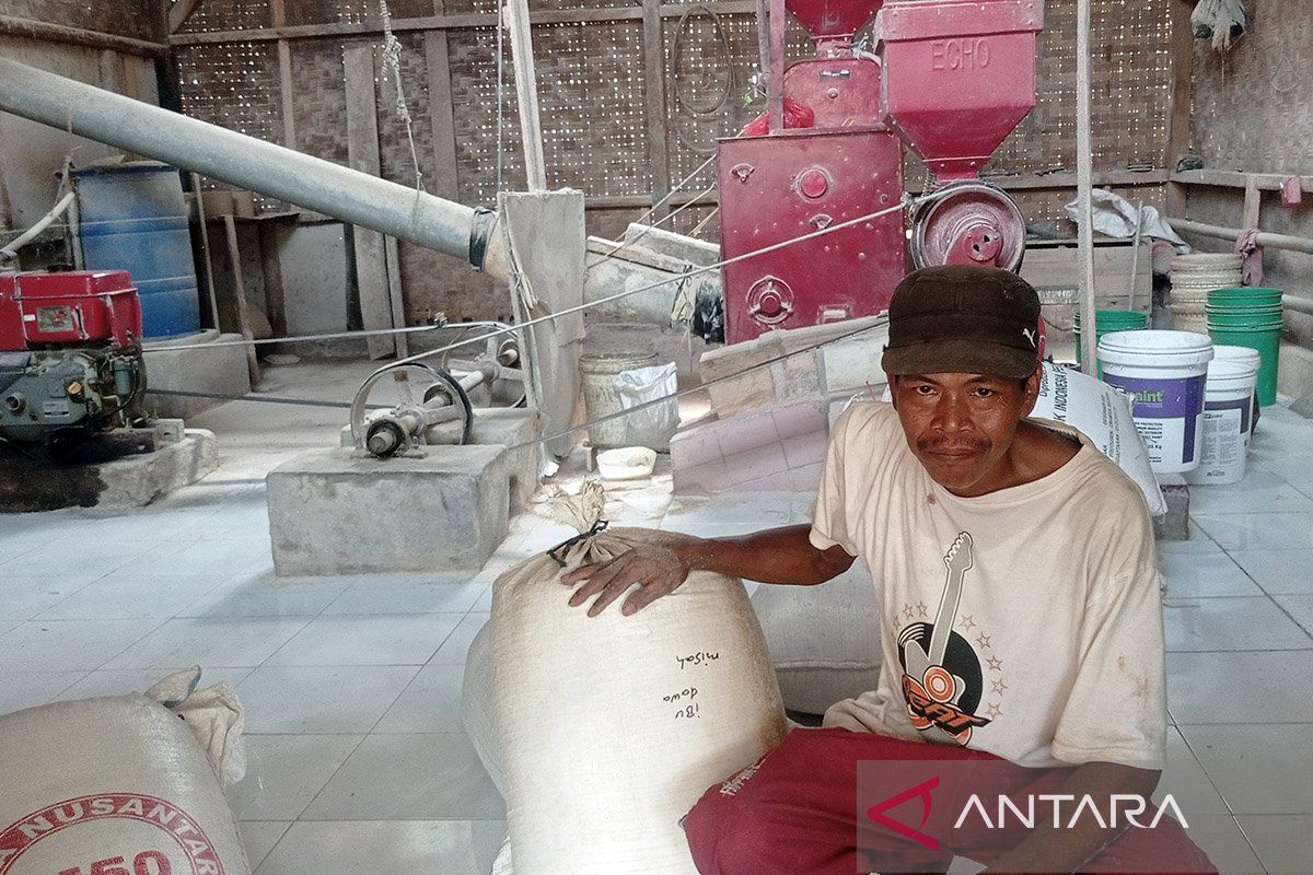 Pabrik penggilingan padi di Lebak Banten kembali produksi beras