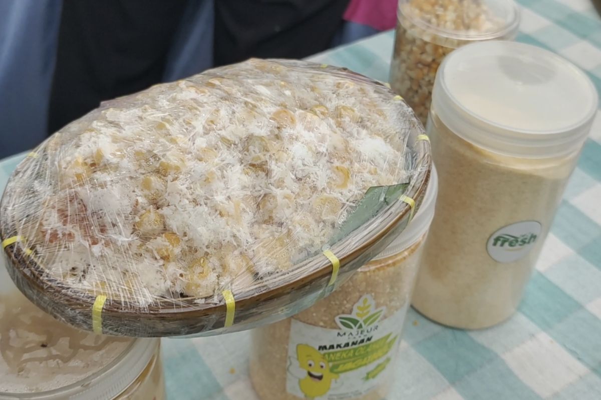 Pemprov Lampung: Diversifikasi pangan solusi mengurangi konsumsi beras