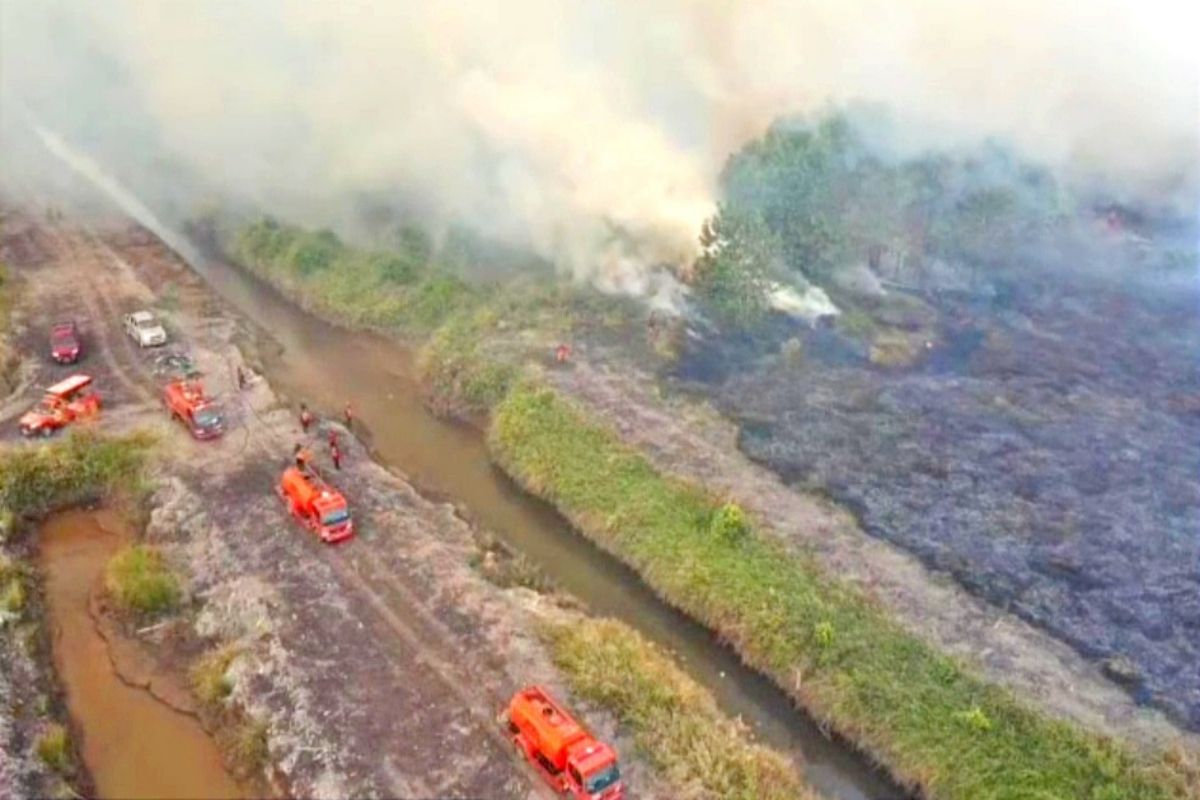 Karhutla masih berpotensi terjadi di tiga provinsi