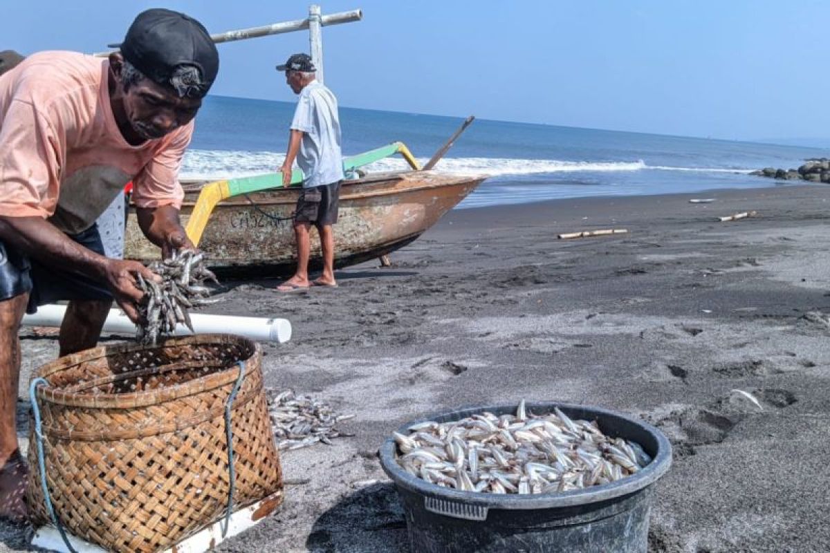Musim kemarau, hasil tangkapan nelayan Pantai Ampenan meningkat
