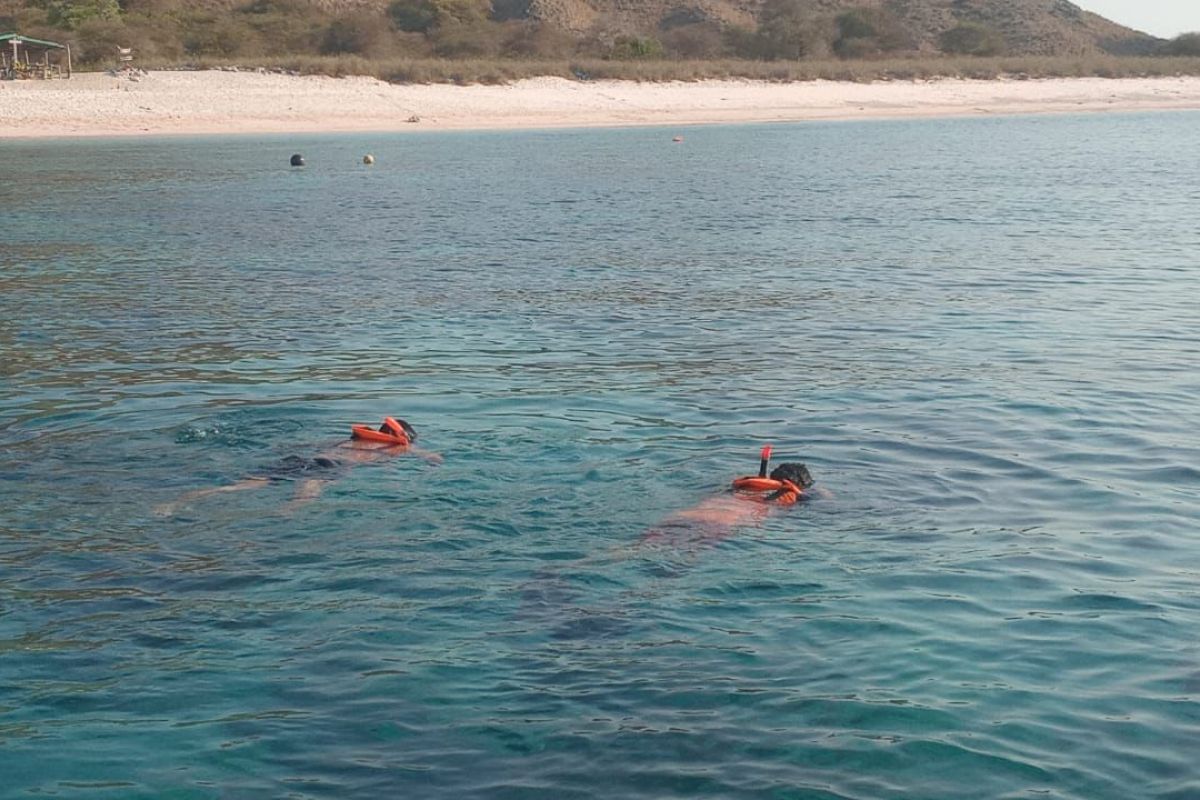 Pencarian WNA hilang di Long Pink Beach Labuan Bajo resmi ditutup