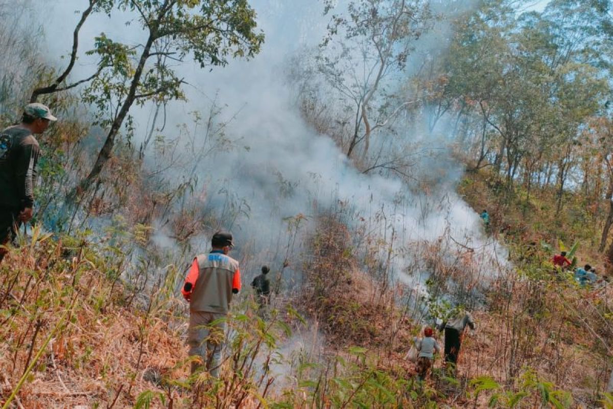 BPBD Bali: kebakaran hutan jadi bencana dominan sepanjang September