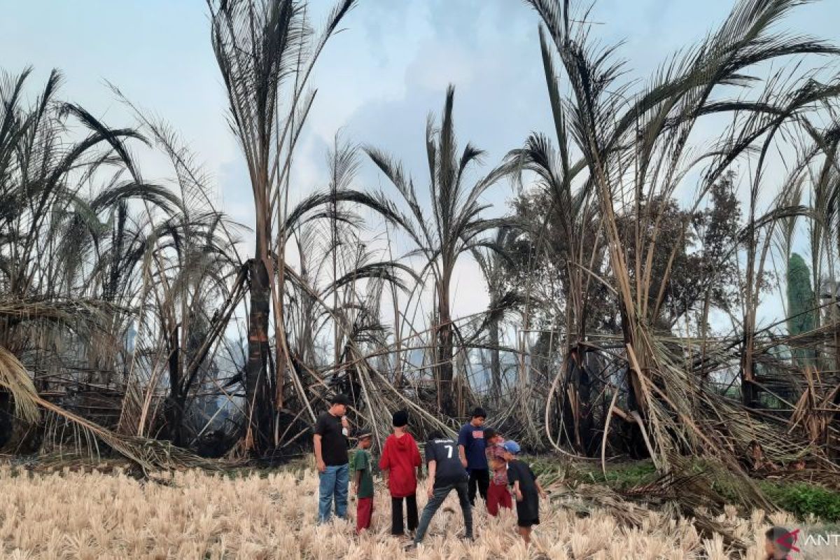 Delapan hektar lahan kosong di Kabupaten Tangerang terbakar