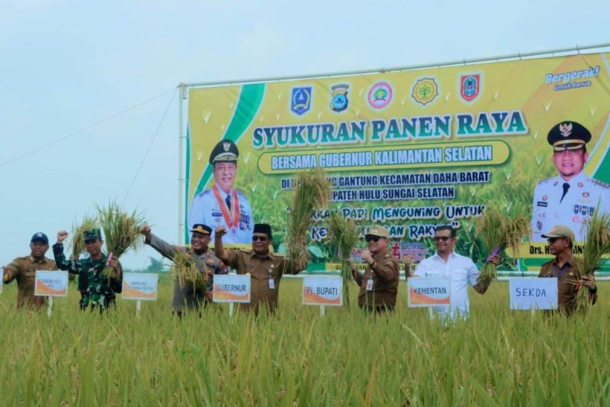 Gubernur Kalsel dan pj bupati rayakan keberhasilan panen padi di HSS