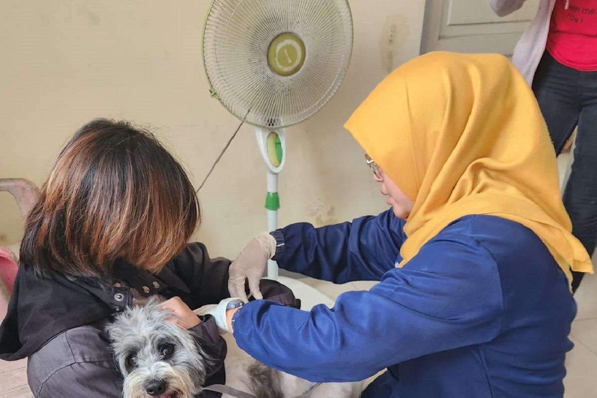 Masyakat Tangerang bisa ajukan kolektif vaksinasi rabies gratis