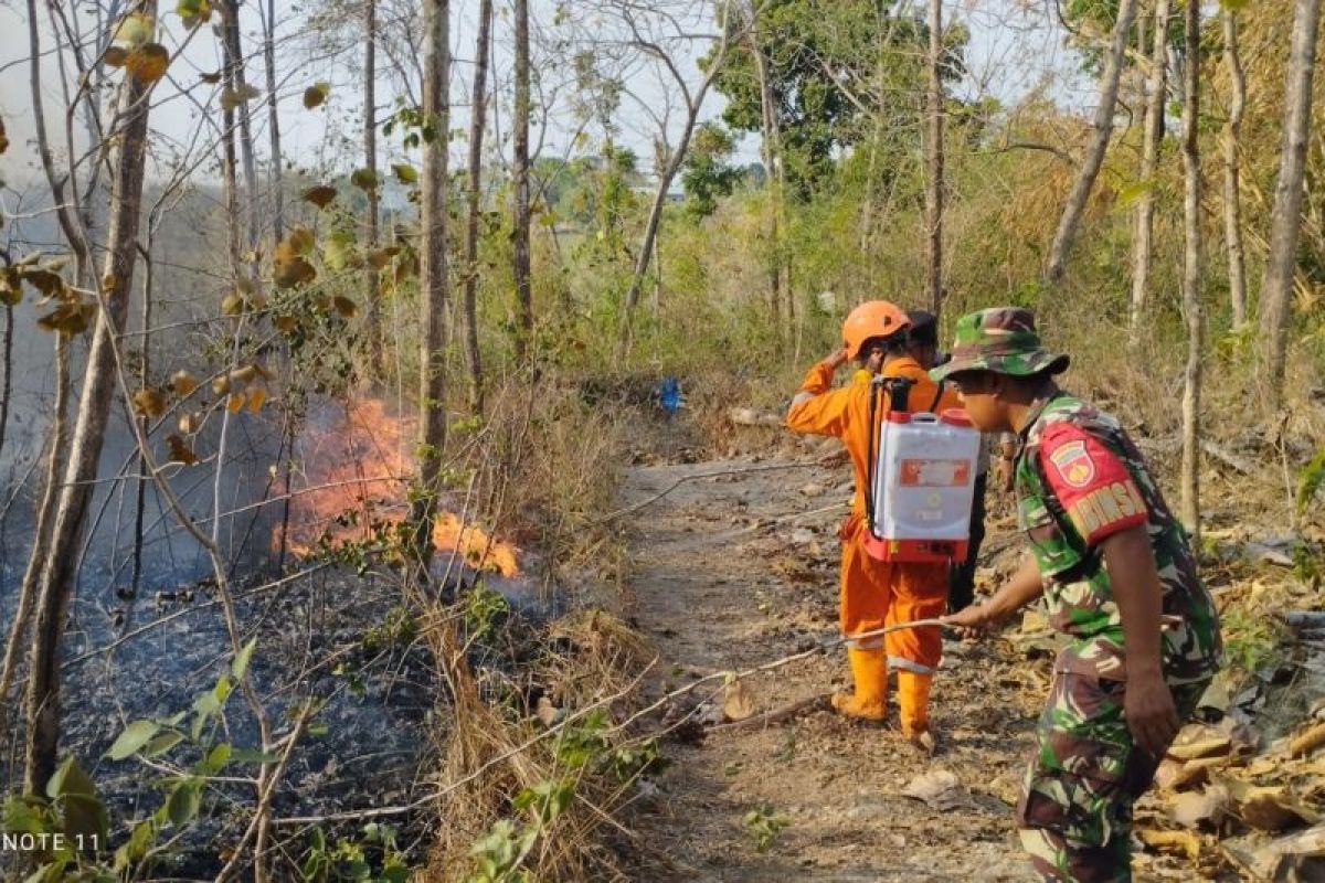 BNPB: Sembilan hektare lahan terbakar di Sragen dipadamkan