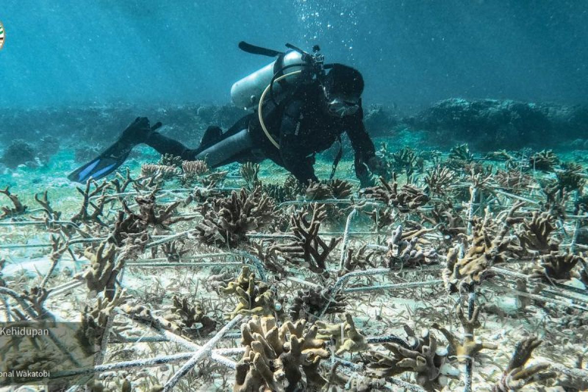 Keanekaragaman hayati jadi aset berharga bagi Indonesia