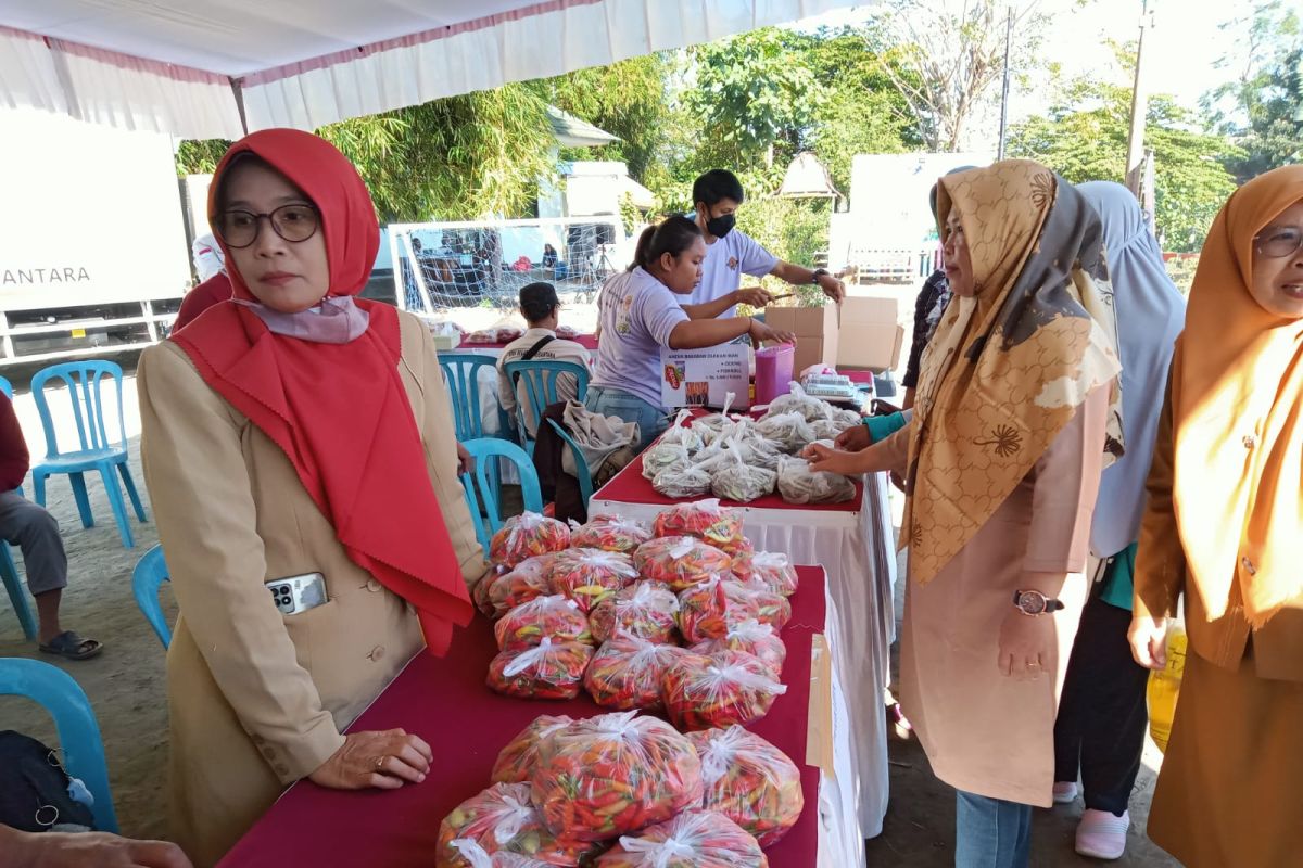 Harga cabai di Mataram naik jadi Rp35.000 per kilogram