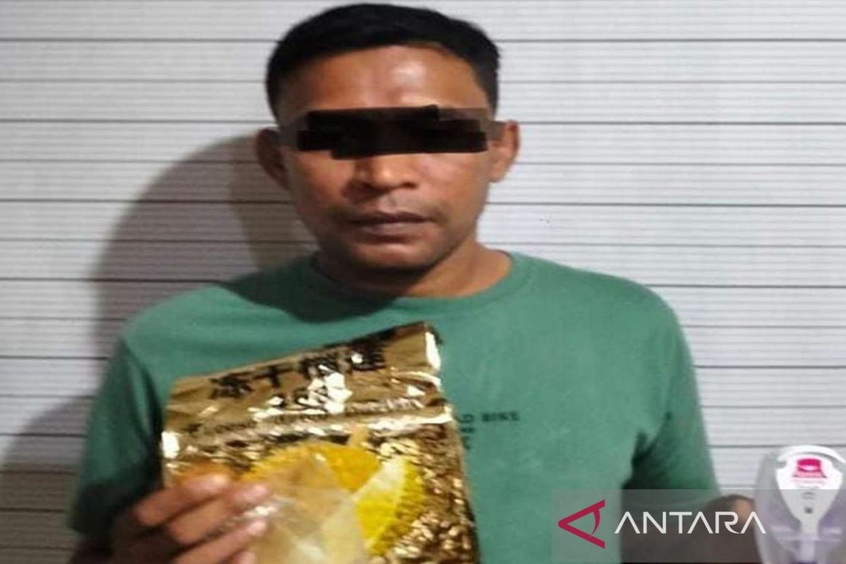 Polrestabes Medan tangkap pria pengedar 10,4  kg sabu di Johor