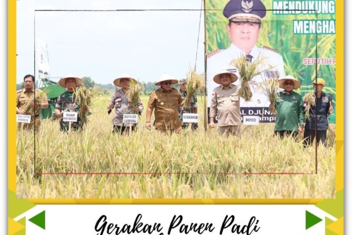 Bupati Lampung Tengah dampingi Gubernur Lampung panen raya di Seputih Raman