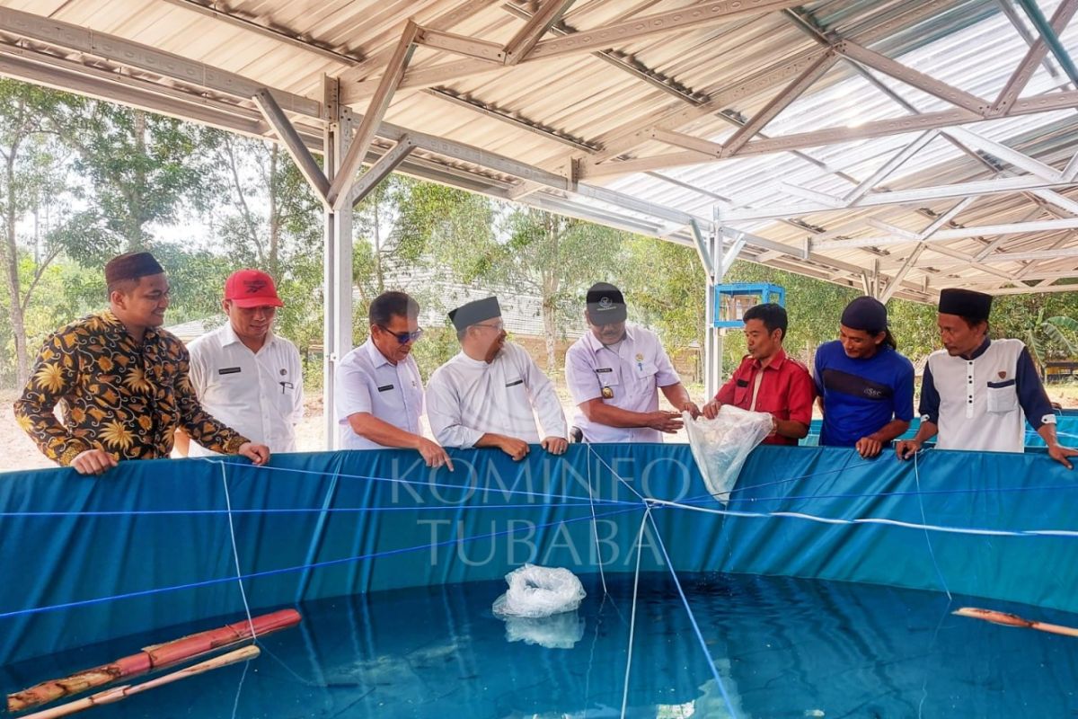 Dinas Perikanan Tubaba tebar benih di kolam bioflok Ponpes Darurrohman