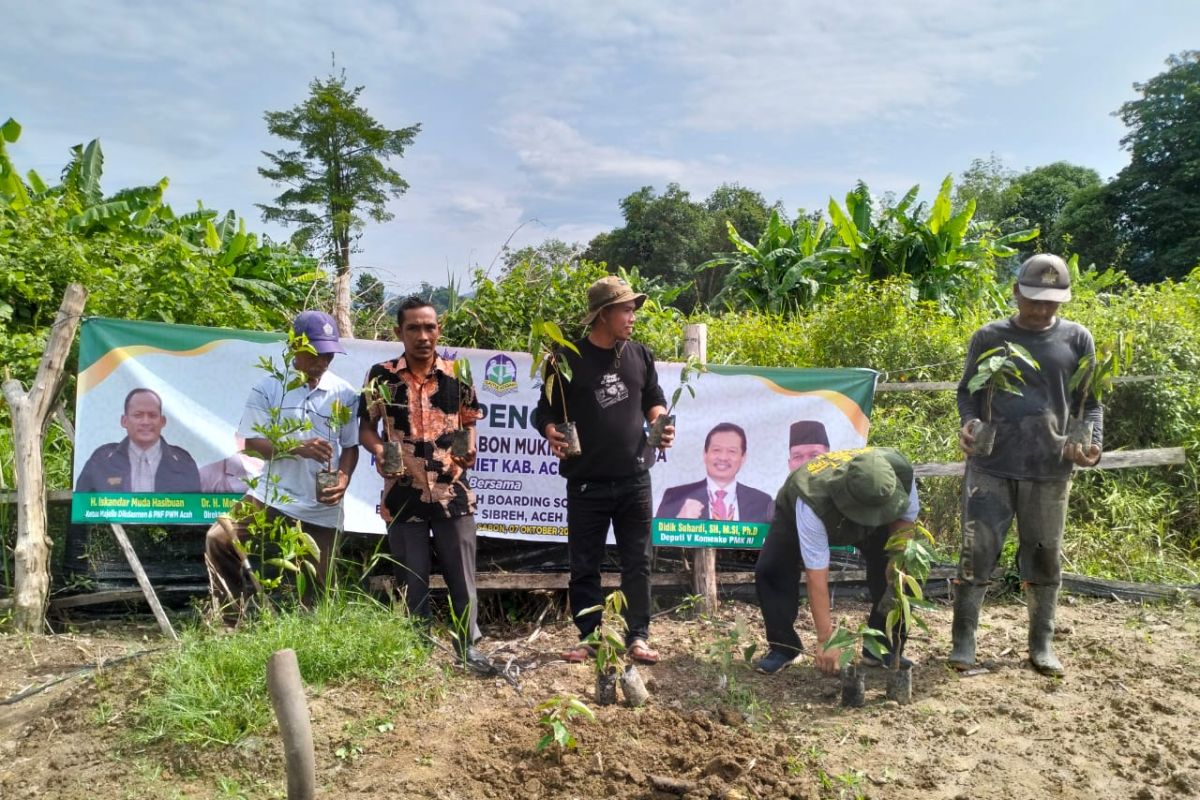 Kemenko PMK serahkan 2.500 bibit durian musang king di Aceh Jaya