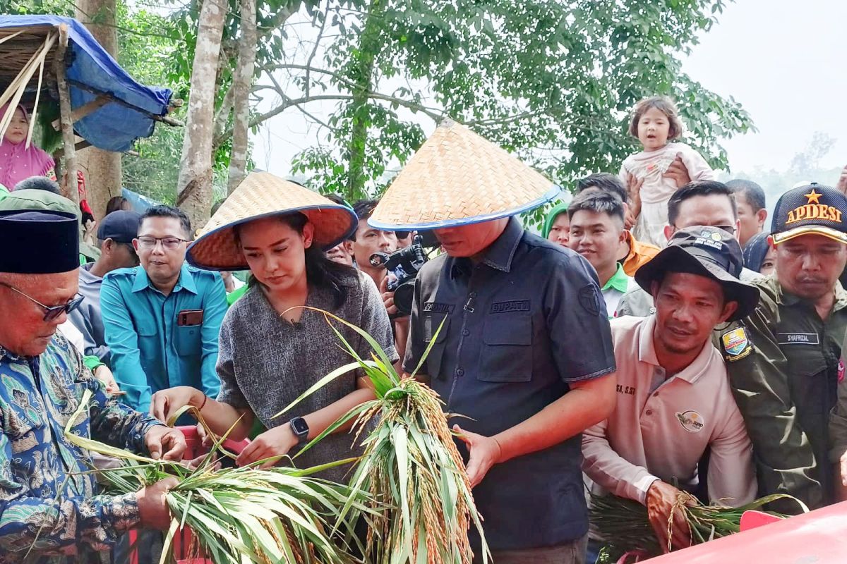 Pemkab Batanghari minta petani pakai data BMKG tentukan waktu tanam