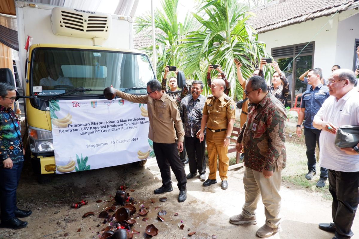 OJK Lampung dukung pembiayaan klaster pisang di Tanggamus