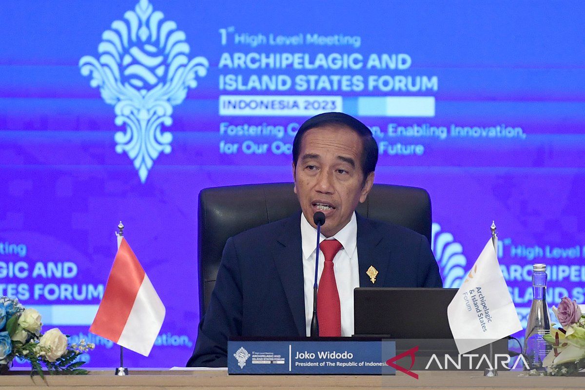 Indonesia calls for AIS Forum unity, collaboration