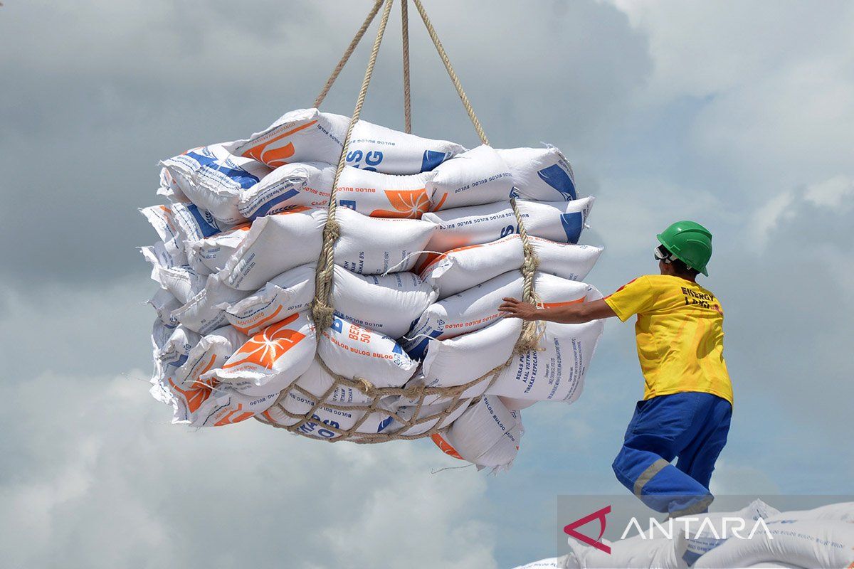 Bapanas targets securing three million tons of government rice stocks