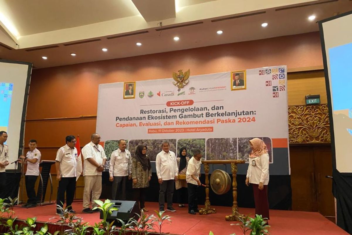 Pemprov Sumsel gandeng ICRAF Indonesia guna restorasi lahan gambut
