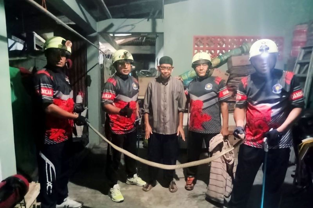 Damkar evakuasi ular king cobra dua meter masuk rumah warga di Bintan