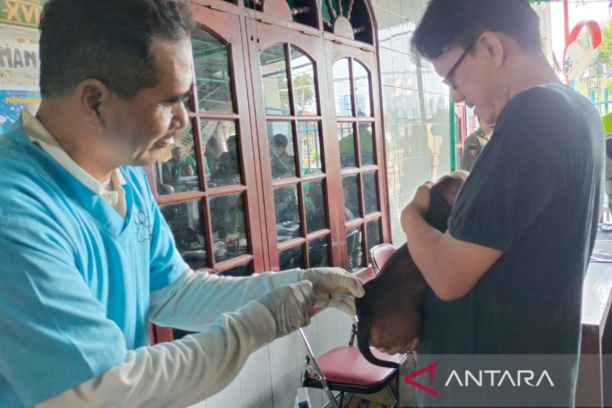 Sudin KPKP tuntaskan vaksinasi rabies di Kemayoran