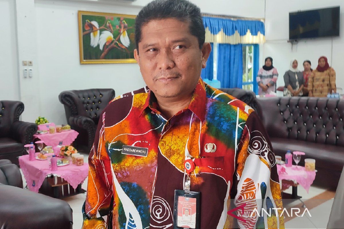 Sekda Papua Selatan: Wapres Ma'ruf Amin batalkan kunker ke Merauke