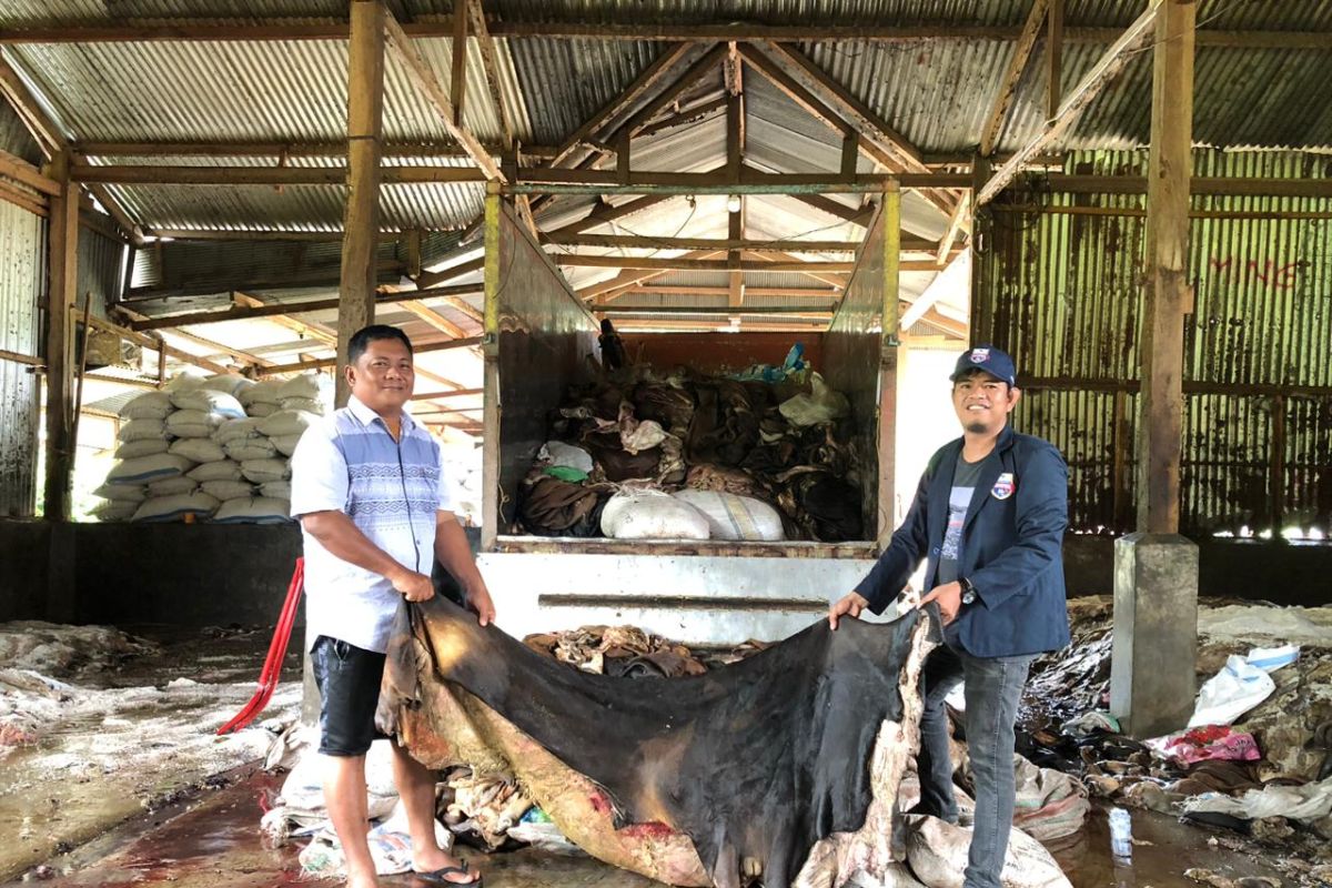 Unibos Makassar berdayakan warga Enrekang mengolah limbah kulit sapi