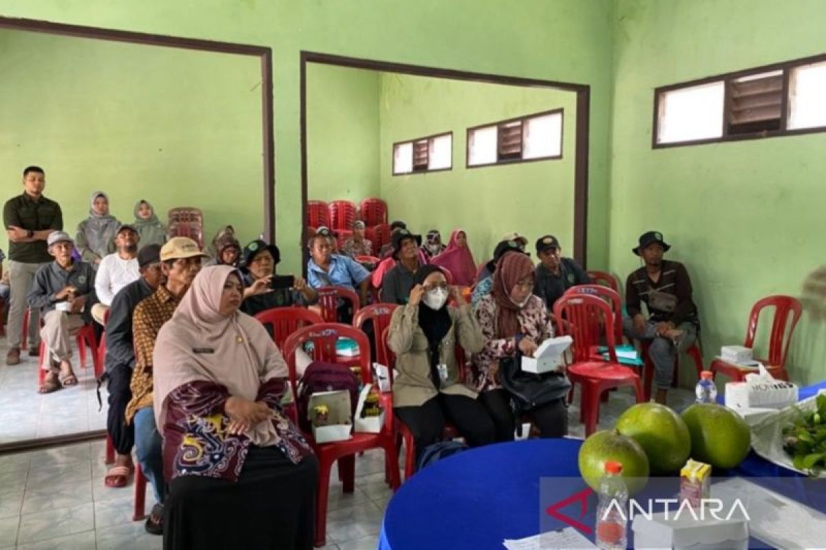 Disbun Kaltim latih petani karet olah lateks gunakan  bahan alami