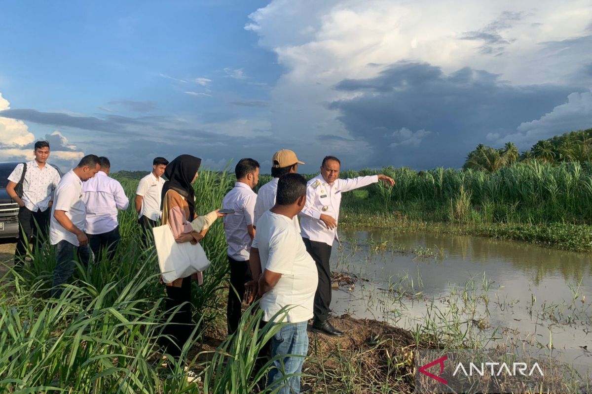 Normalisasi Alur sungai di Kecamatan Muara Satu Belum Maksimal