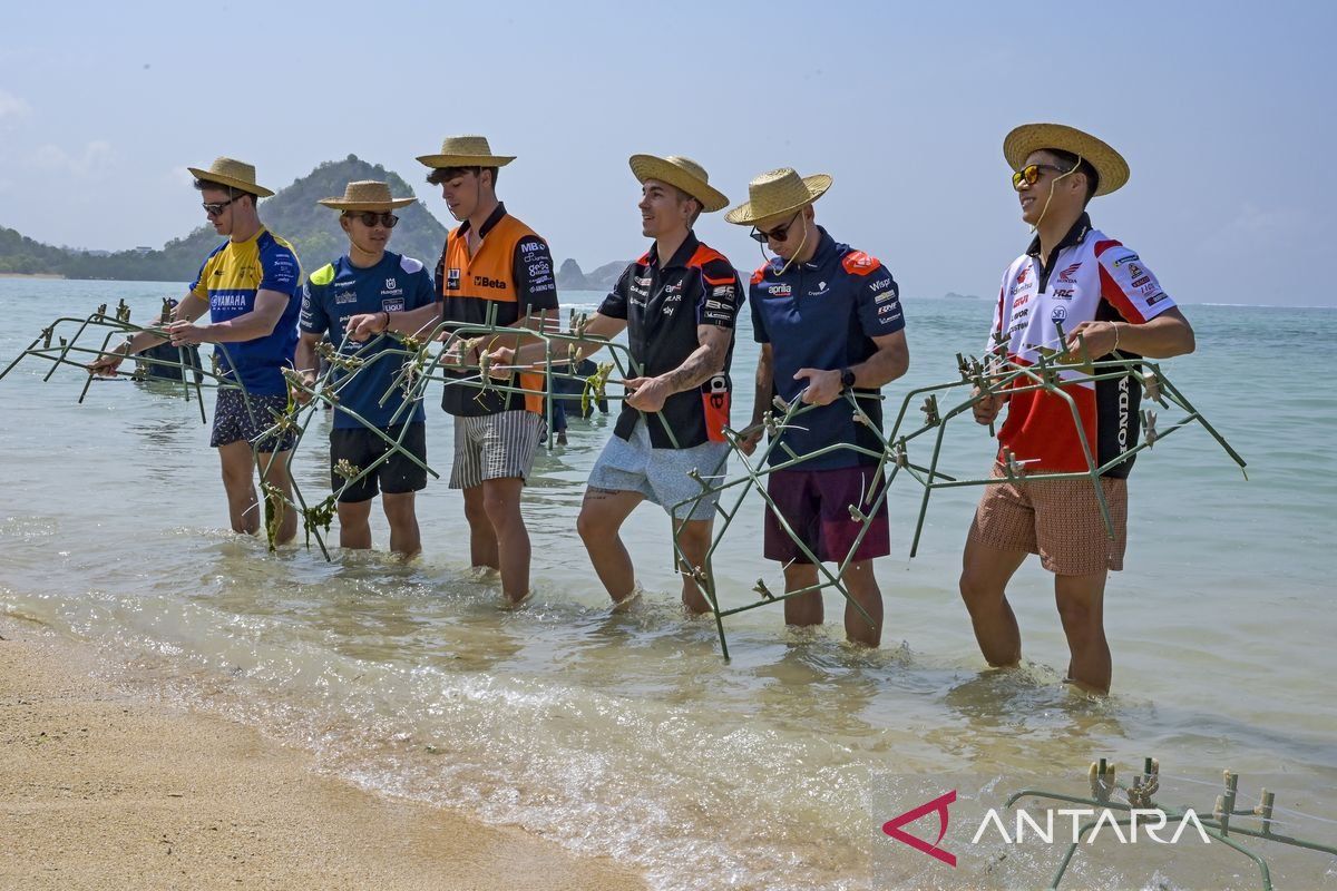 Pembalap MotoGP lakukan aksi penanaman terumbu karang dan bersih pantai