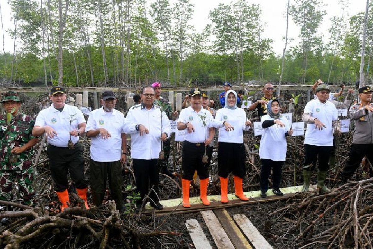 Sumut tanam 10 ribu bibit mangrove di Kabupaten Langkat