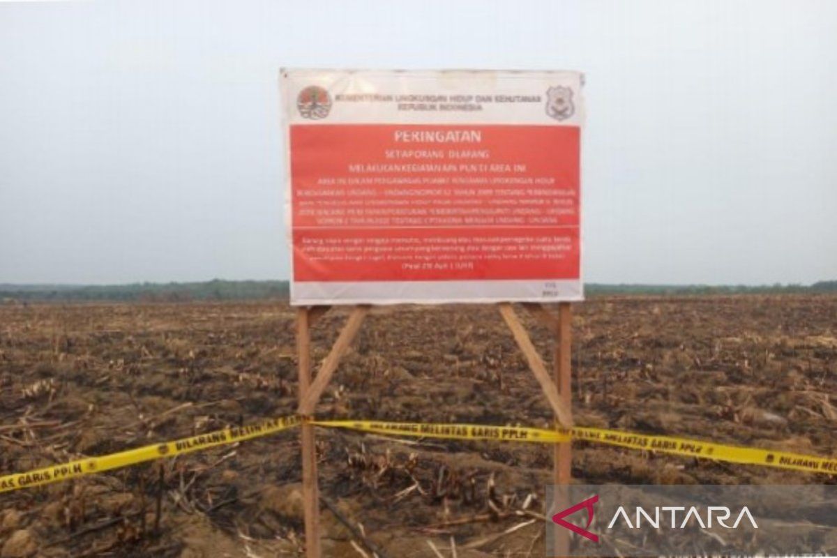 Gakkum KLHK segel karhutla kebun tebu perusahaan plat merah di Ogan Ilir Sumsel