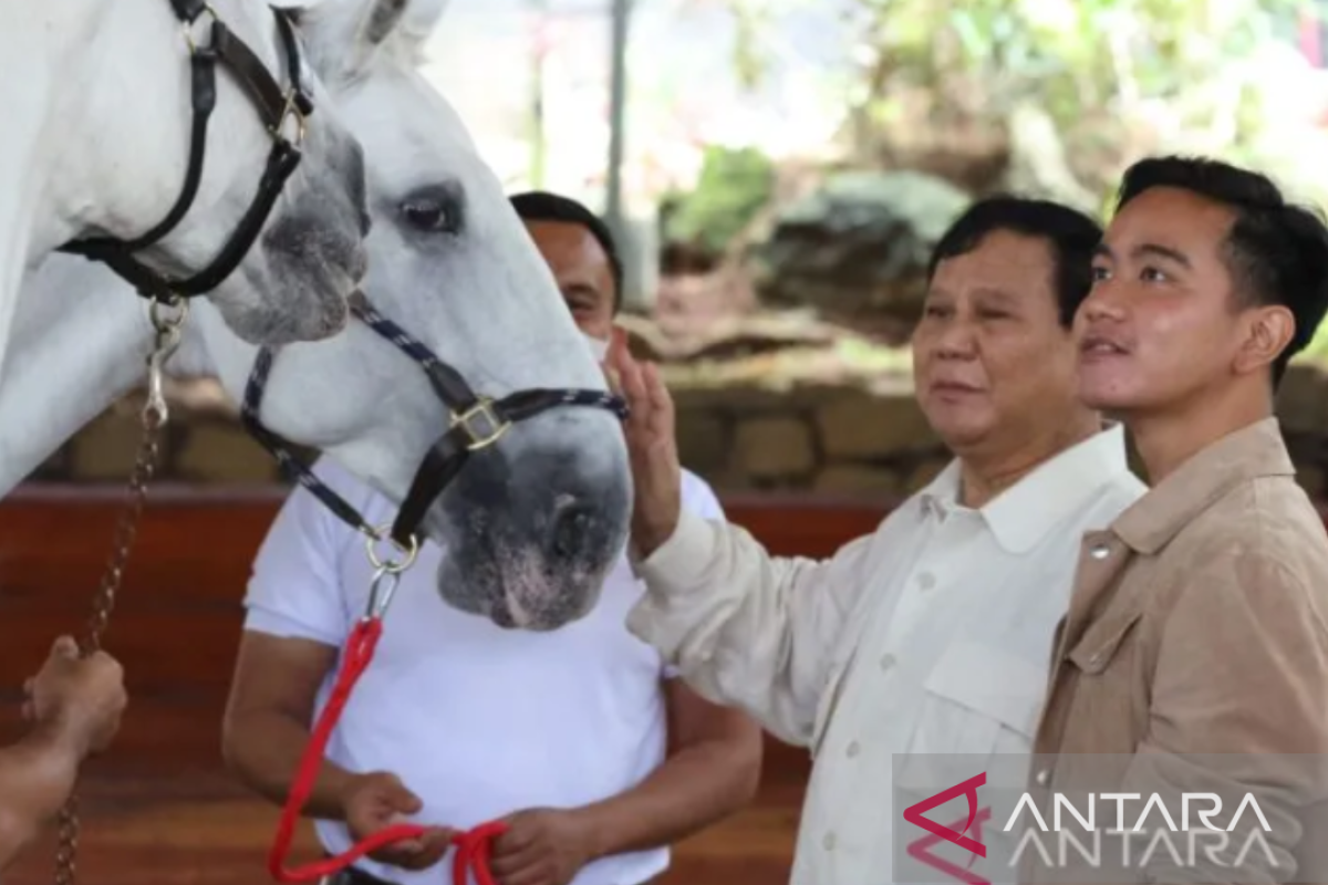 Fahri Hamzah sebut Gibran salah satu kandidat bacawapres Prabowo