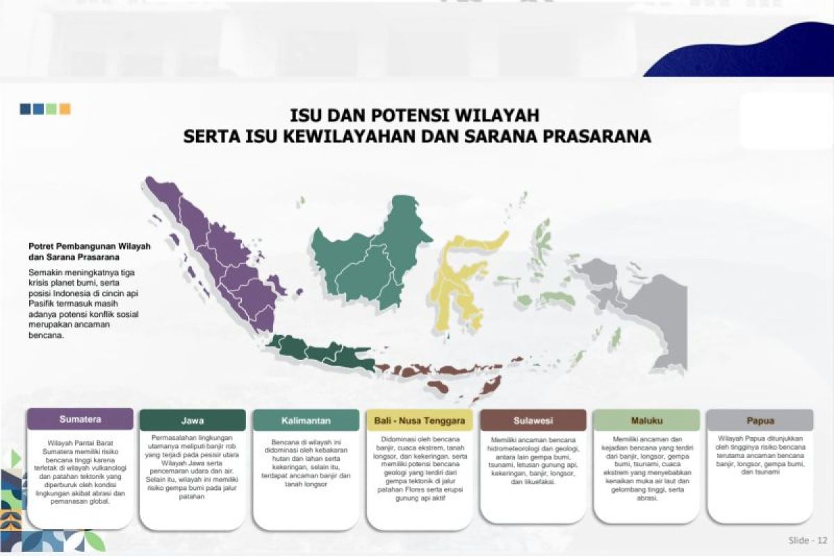 Bappenas usulkan penguatan kelola risiko bencana menuju Indonesia Emas