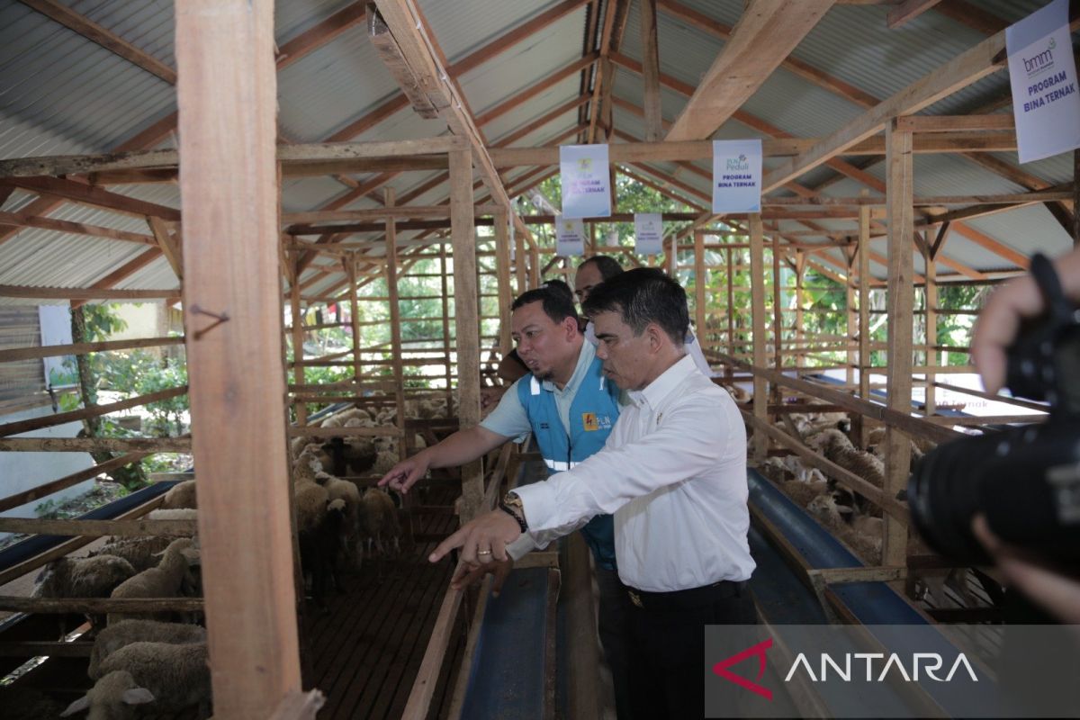 PLN UID Sumut serahkan  bantuan usaha ke Kelompok Ternak Insani Binjai