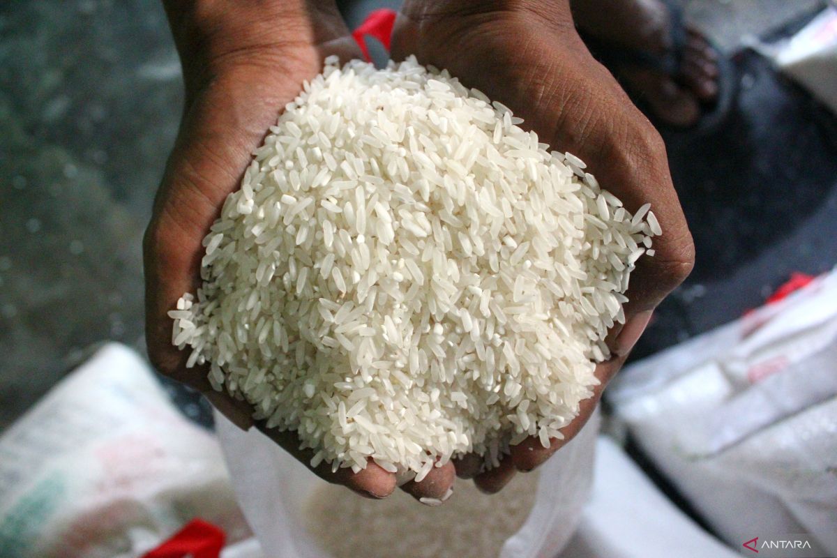 Pemicu terjadinya kenaikan harga beras di Indonesia