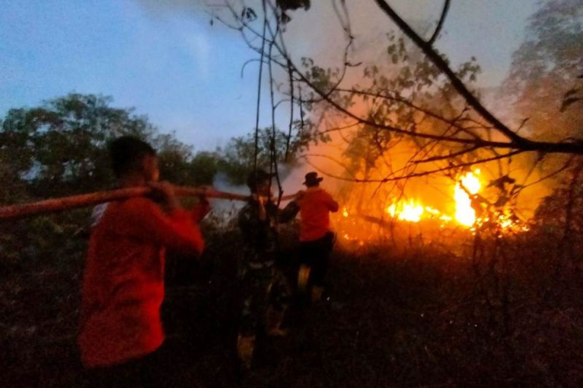 171 titik panas terdeteksi di Kalimantan Timur