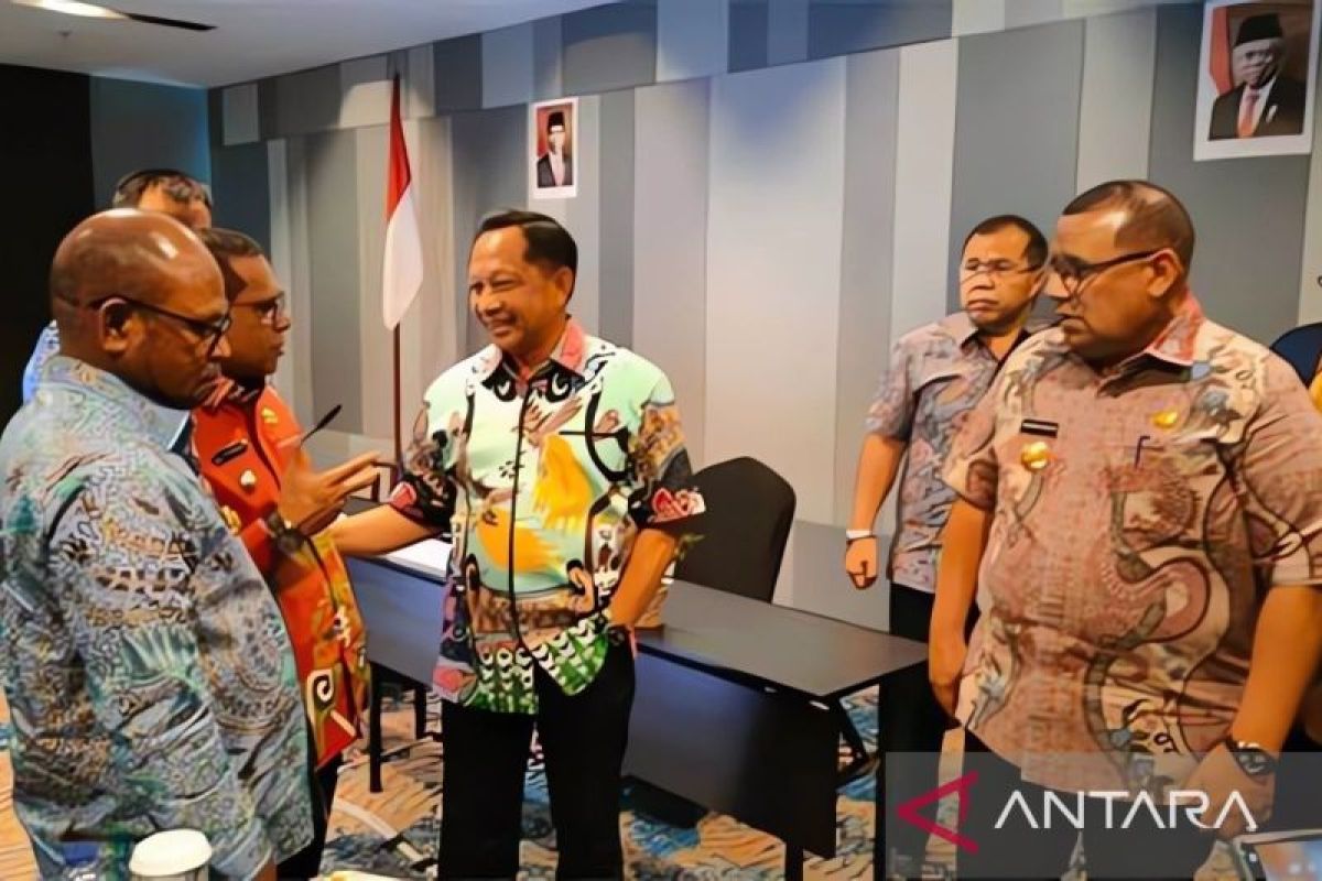 Mendagri: Penanganan Inflasi di Papua Barat Daya relatif cukup baik